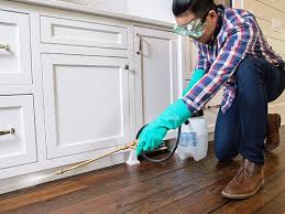 Best Pest Prevention Services  in Frisco, TX